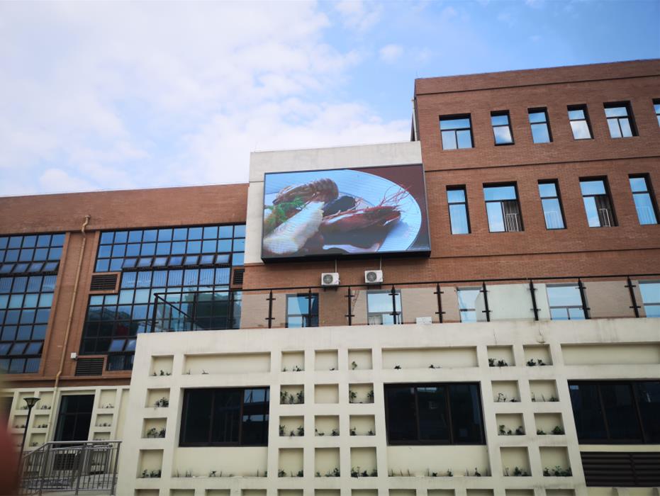 北城中學(xué)戶外Q4 北城中學(xué)戶外Q4