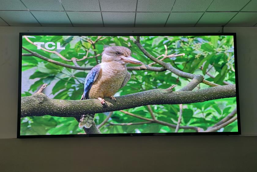 金寨職業(yè)學(xué)院